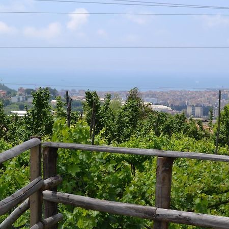 B&B Green Valley Salerno Exteriör bild