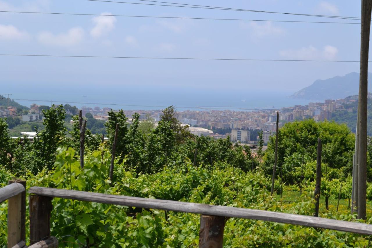 B&B Green Valley Salerno Exteriör bild